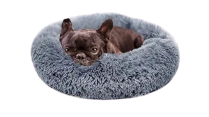 dog beds for small dogs