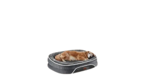 dog cave bed
